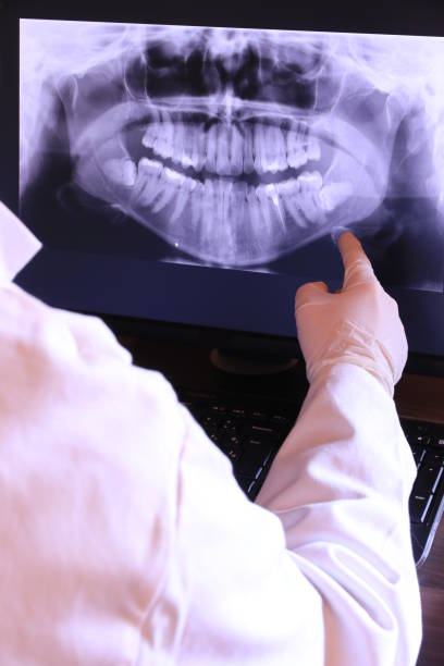 Best Emergency X-Rays and Diagnostics in New Bedford, PA